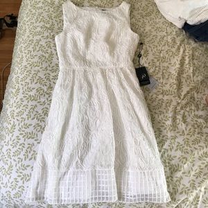Nwt Adrianna Papell dress